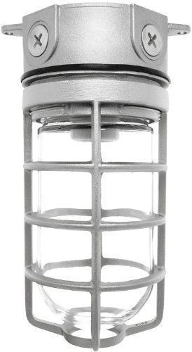 Rab lighting vx100dg vaporproof vx 4&#034; ceiling box mount with glass globe and for sale
