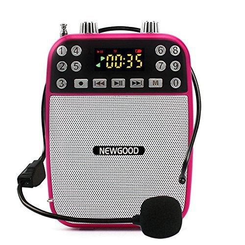Newgood loud portable personal voice amplifier loudspeaker microphone mp3 for sale