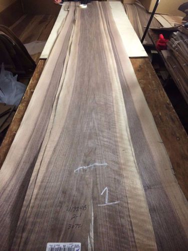 Wood walnut veneer 121x11,11,17,17,17 total 5 pcs raw veneer n 672. for sale