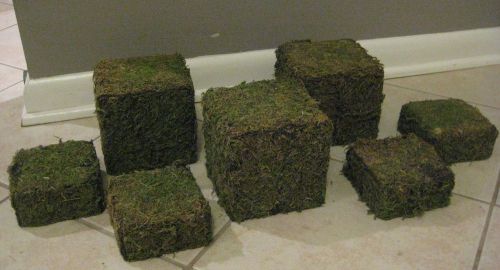 Lot 117 ~ 7 Piece Natural Green Moss Retail Jewelry Display Risers Levels