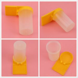 Beekeeping Tool Beehive Water Feeder Bee Drinking Nest Entrance Beekeeper Cup KV