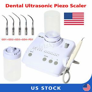 Dental Ultrasonic Piezo Scaler Unit W/ Handpiece Tips 2Bottle Fit DTE SATELEC D1