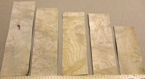 White ash burl wood veneer sample pack = 5 pieces 2&#034; x 4&#034; - 7&#034; (&#034;aa&#034; quality) for sale