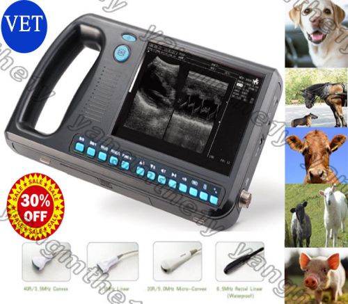 Sale!vet palm smart b-ultrasound ultrasound scanner system + 6.5mhz reccal probe for sale