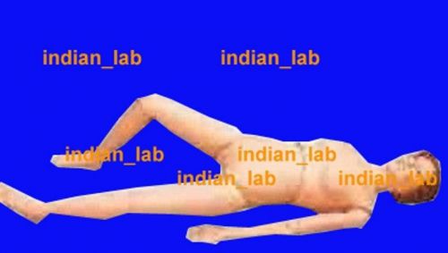 Multi functional nursing manikin female excellent quality indian_lab mfnm0786d for sale