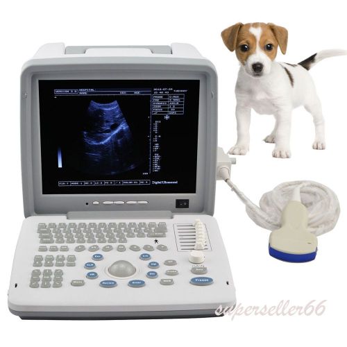 12&#034; LCD Portable Digital Ultrasound Scanner 3.5Mhz Convex Probe 3D Veterinary CE