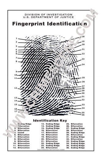 New fingerprint chart for sale