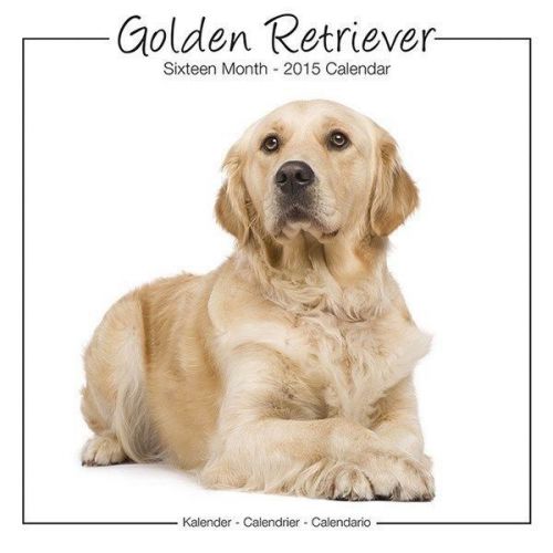 NEW 2015 Golden Retrievers Wall Calendar by Avonside- Free Priority Shipping!