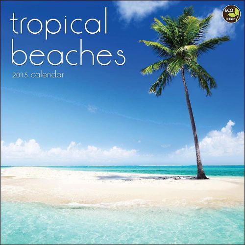 2015 TROPICAL BEACHES Wall Calendar 12x12 NEW Scenic Outdoor Nature Beaches