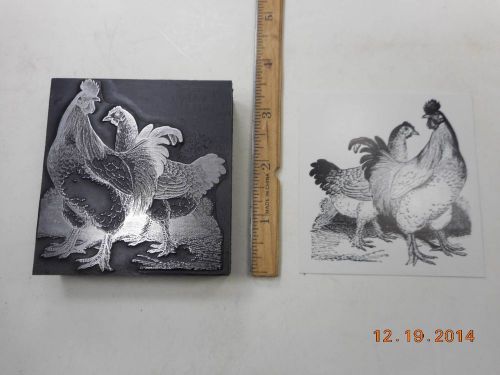 Letterpress Printing Printers Block, Large, Farm Chickens, Rooster &amp; Hen, Fowl