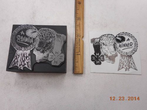 Letterpress Printing Printers Block, 4H Cattle w Winner Badge