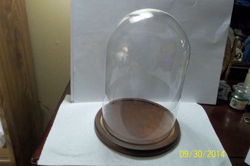 Glass Dome 12&#034; X 8&#034; with 9.5&#034; Wood Finished Base Display