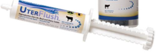 UterFlush Tube Reproductive Care for Beef Dairy Cattle Restore Uterine 30 ml