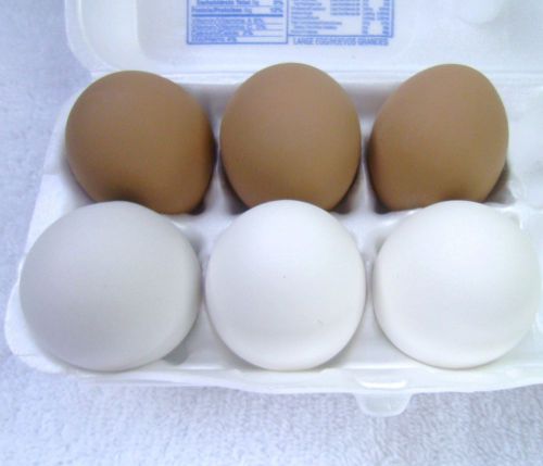 6 Dummy Chicken Nesting Eggs 3 Brown &amp; 3 White   FREE SHIPPING