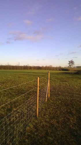 Land For Sale Near Ely Cambridgeshire (nearly 3 Acres)
