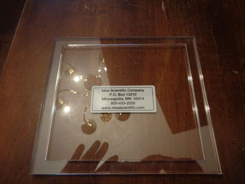 Gel Dryer Tut&#039;s Tomb Gel Frames from Idea Scientific 16 cm x 18 cm