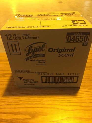 Lysol Professional Disinfectant Original Scent 19 oz. Spray cans 12-Pack (04650)
