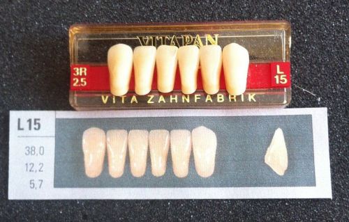 Vitapan Denture Teeth  L15    3R2.5