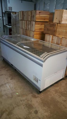 Aht freezer paris 210 for sale