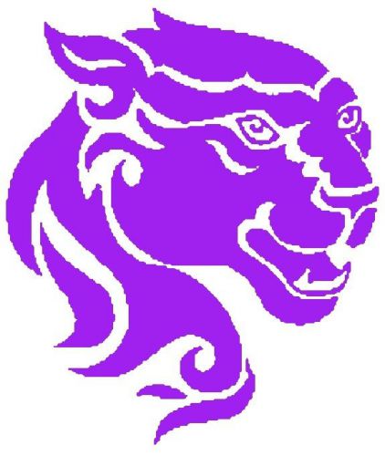 30 Custom Purple Panther Personalized Address Labels