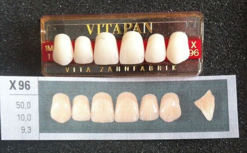 Vitapan Denture Teeth   X96   1M1