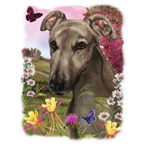 Greyhound Dog Floral HEAT PRESS TRANSFER for T Shirt Tote Sweatshirt Fabric 852