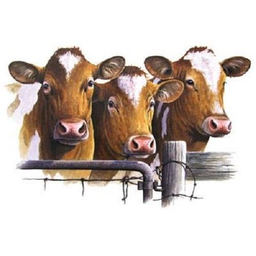 Brown Cow HEAT PRESS TRANSFER for T Shirt Sweatshirt Tote Bag Quilt Fabric 298d