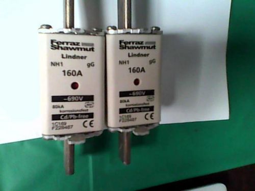 Lindner NH1 160A 690V fuse 1C169, *USED*