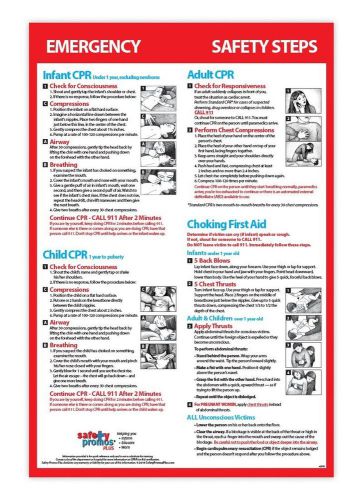 Infant Child &amp; Adult CPR &amp; Choking First Aid - Non-laminated 12x18 Poster - 2...