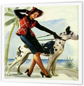 3dRose ht_204161_1 Print of Elvgren Pinup with Great Dane Iron on Heat Transfer,