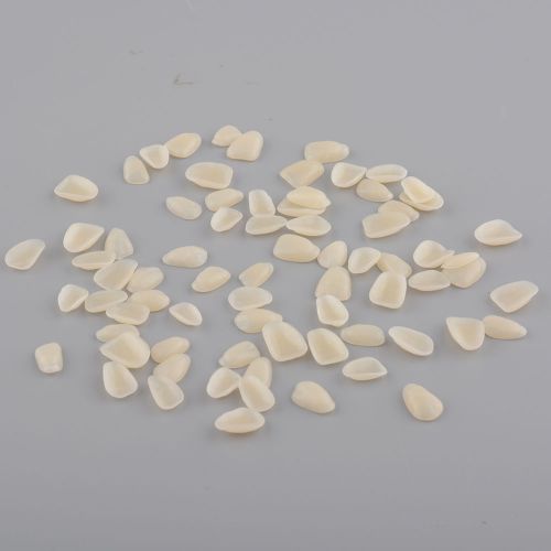 High Quality Healthy Dental Materials Porcelain Upper Film for Temporary Crown