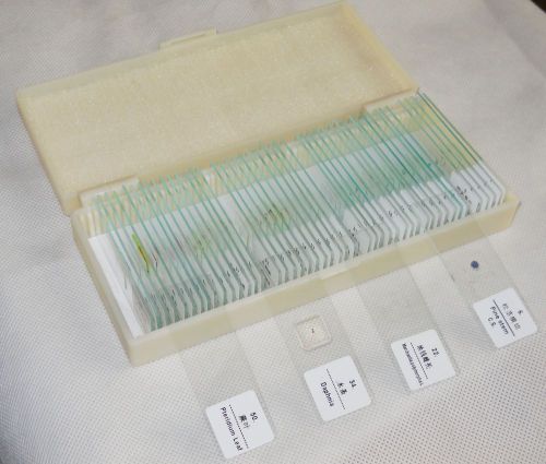 50 PCS/ SET PREPARED MICROSCOPE GLASS SLIDES IN PLASTIC BOX FOR STUDENT