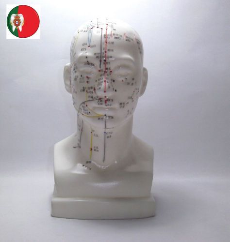 Medical Professional Educational Anatomic Life Size Head Acupuncture ARTMED