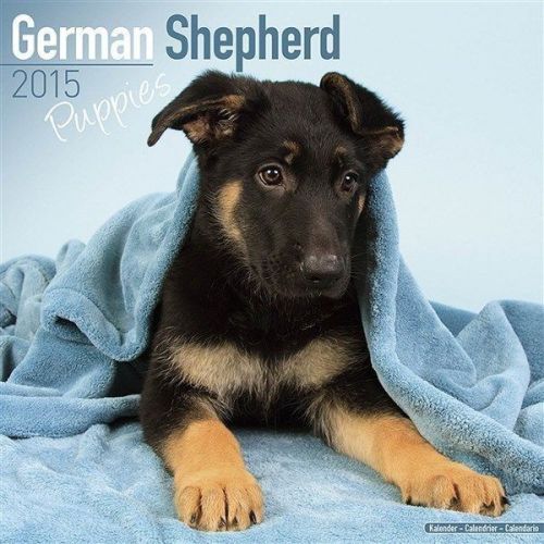 NEW 2015 German Shepherd Puppies Wall Calendar by Avonside- Free Priority Shippi
