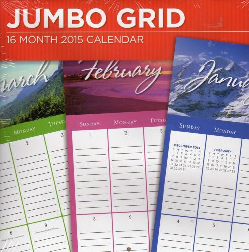 2015 16 Month JUMBO GRID 12 x 12 Wall Calendar NEW &amp; SEALED