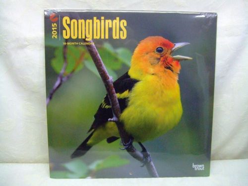 Brown Trout &#034;Songbirds&#034; 12&#034; 2015 18 Month Calendar New Factory Sealed