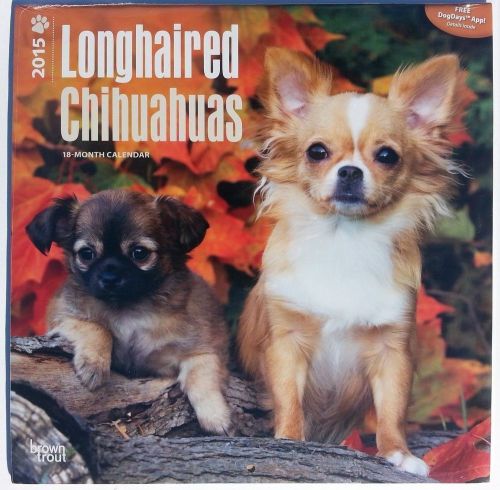 2015 Calendar Chihuahua Dogs 12&#034;X12&#034; ALWAYS QUICK SHIP Quality Calendars QBR
