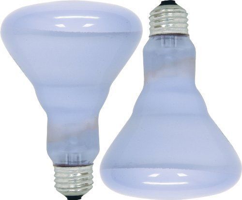 GE Lighting 11684 Reveal 65-watt 510-Lumen BR30 Flood Light Bulb  2-Pack