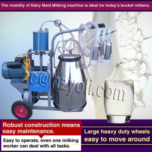 110v/220v, with one bucket piston-type milking machine for cows,cattle,sheep for sale