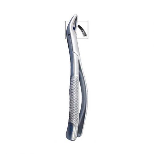 Vet Supply J0042F JORGY DENTAL FORCEPS EXTRACTOR 7&#034; Small Animal Vet Tooth