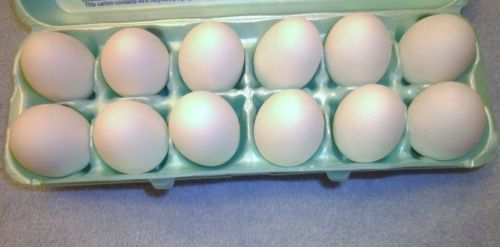 12 Ceramic Bisque NESTING Dummy Chicken Eggs