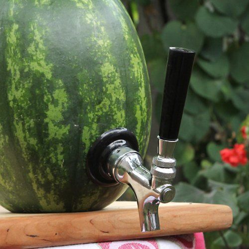 New deluxe watermelon tap kit universal fit beer beverage dispenser party drink for sale