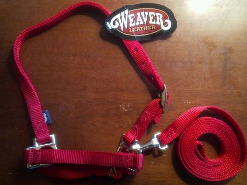 New never used Sheep halter with lead