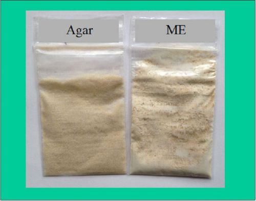 Agar + Powder of Malts Extract (ME), MEA, Yield 100ml, Fungus Mushroom Culture