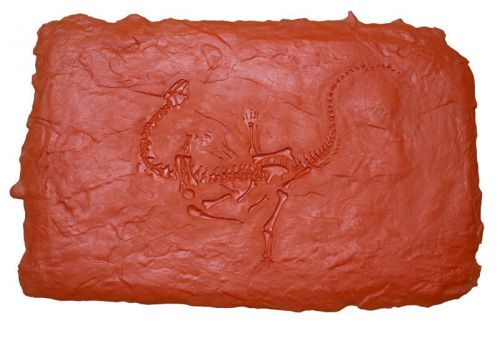 Fossil Shunosaurus Decorative Concrete Rubber Stamp Tool Mat 9F18