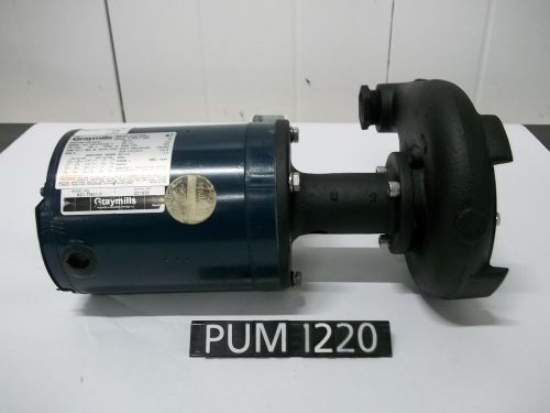 Graymills TN41-F, HVJ 56T17T5536A  .5 hp Centrifugal Pump (PUM1220)