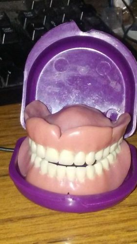 Real Dentures False Teeth Upper &amp; lower Arch, Dental Study, Gag.