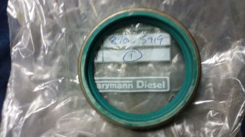 Farymann Diesel 890.59.19 seal