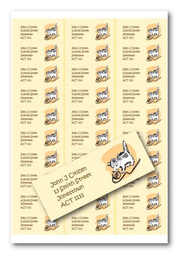 Personalised address labels - Kitten - Buy 4 sheets, get 1 free!