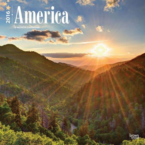 2016 America 12&#034; x 12&#034; Wall Calendars NEW BrownTrout TravelDay app United States